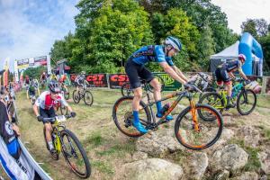 2193 15DSC 1129-Copy