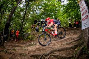 2197 28DSC 1588-Copy