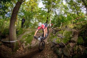 2227 17DSC 1238-Copy