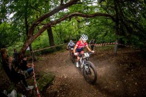 2233 41DSC 1701-Copy