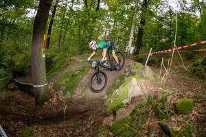 2319 19DSC 0797-Copy