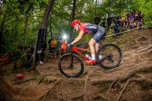 2322 29DSC 1590-Copy