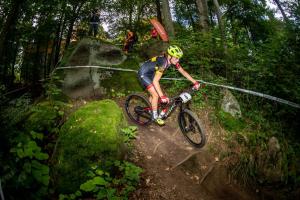 2333 34DSC 1637-Copy