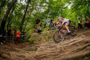 2344 31DSC 1604-Copy