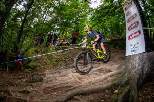 2353 45DSC 1001-Copy