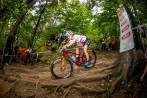 2360 25DSC 1579-Copy