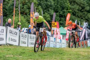 2370 23DSC 0914-Copy