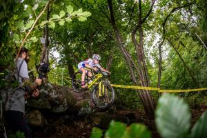 2380 53DSC 1024-Copy